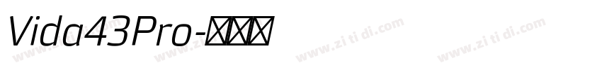 Vida43Pro字体转换