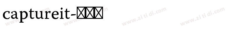 captureit字体转换