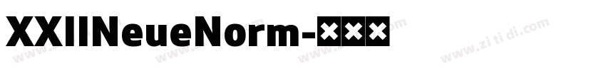XXIINeueNorm字体转换