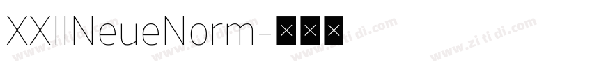 XXIINeueNorm字体转换