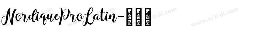 NordiqueProLatin字体转换
