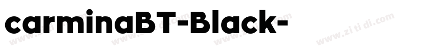 carminaBT-Black字体转换