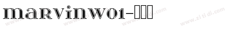 MarvinW01字体转换