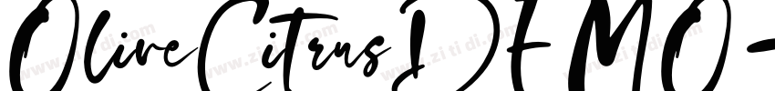 OliveCitrusDEMO字体转换