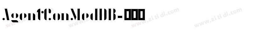 AgentConMedDB字体转换