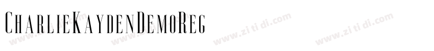 CharlieKaydenDemoReg字体转换