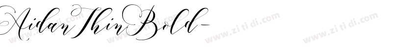 AidanThinBold字体转换