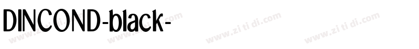 DINCOND-black字体转换