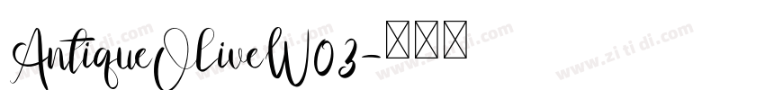 AntiqueOliveW03字体转换