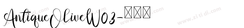 AntiqueOliveW03字体转换