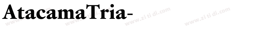 AtacamaTria字体转换