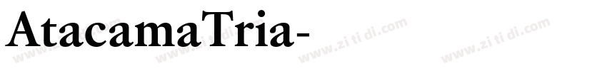 AtacamaTria字体转换