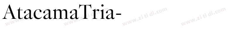 AtacamaTria字体转换