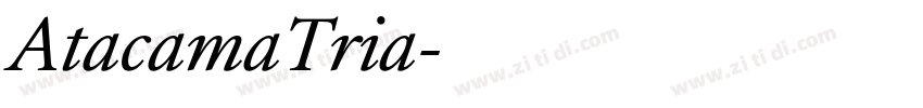 AtacamaTria字体转换