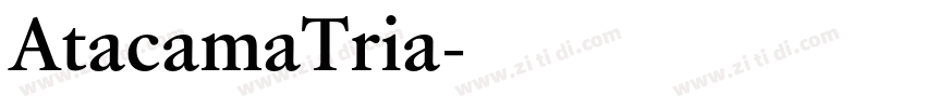 AtacamaTria字体转换