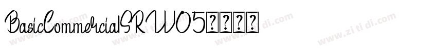 BasicCommercialSRW05字体转换
