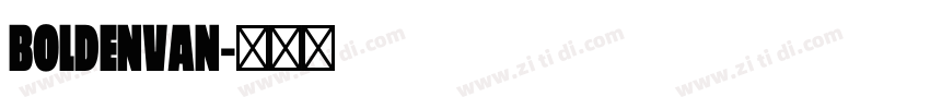 BoldenVan字体转换