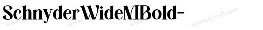 SchnyderWideMBold字体转换 SchnyderWideMBold字体转换