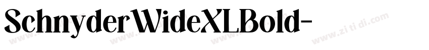 SchnyderWideXLBold字体转换