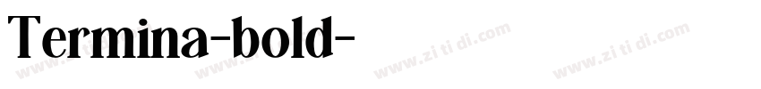 Termina-bold字体转换