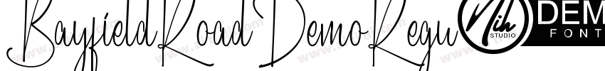 BayfieldRoadDemoRegu字体转换