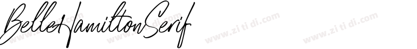 BelleHamiltonSerif字体转换
