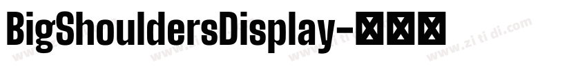 BigShouldersDisplay字体转换