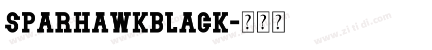 SparhawkBlack字体转换 SparhawkBlack字体转换