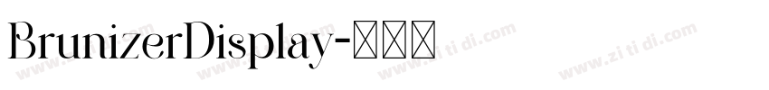 BrunizerDisplay字体转换
