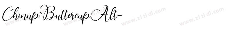 ChinupButtercupAlt字体转换