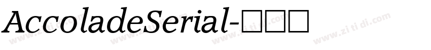 AccoladeSerial字体转换