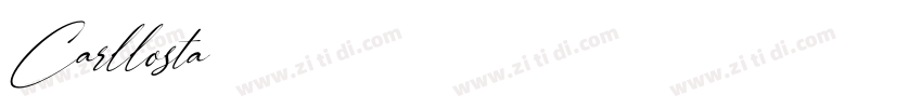 Carllosta字体转换