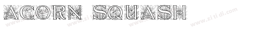Acorn_Squash字体转换
