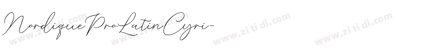 NordiqueProLatinCyri字体转换