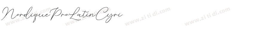NordiqueProLatinCyri字体转换