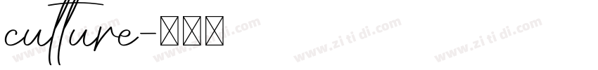culture字体转换