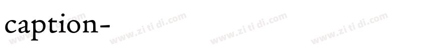 caption字体转换