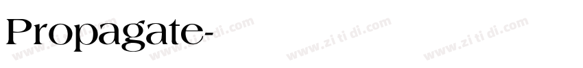 Propagate字体转换