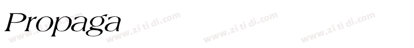 Propagate字体转换