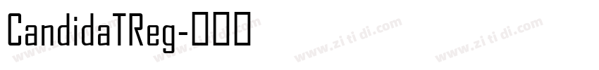 CandidaTReg字体转换