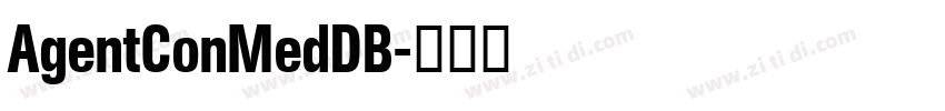 AgentConMedDB字体转换