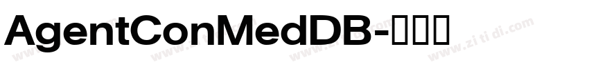 AgentConMedDB字体转换