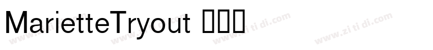 MarietteTryout字体转换