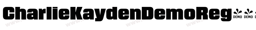 CharlieKaydenDemoReg字体转换