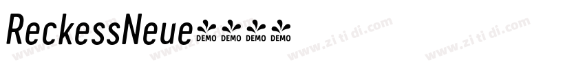 ReckessNeue字体转换
