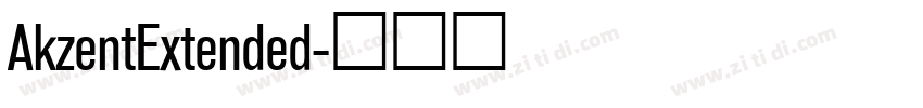 AkzentExtended字体转换 AkzentExtended字体转换