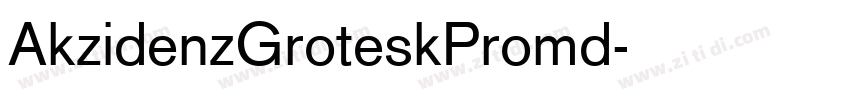 AkzidenzGroteskPromd字体转换