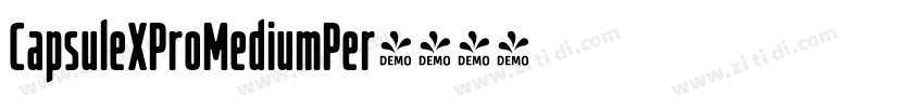 CapsuleXProMediumPer字体转换
