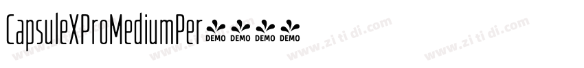 CapsuleXProMediumPer字体转换
