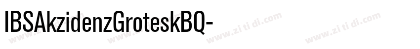 IBSAkzidenzGroteskBQ字体转换